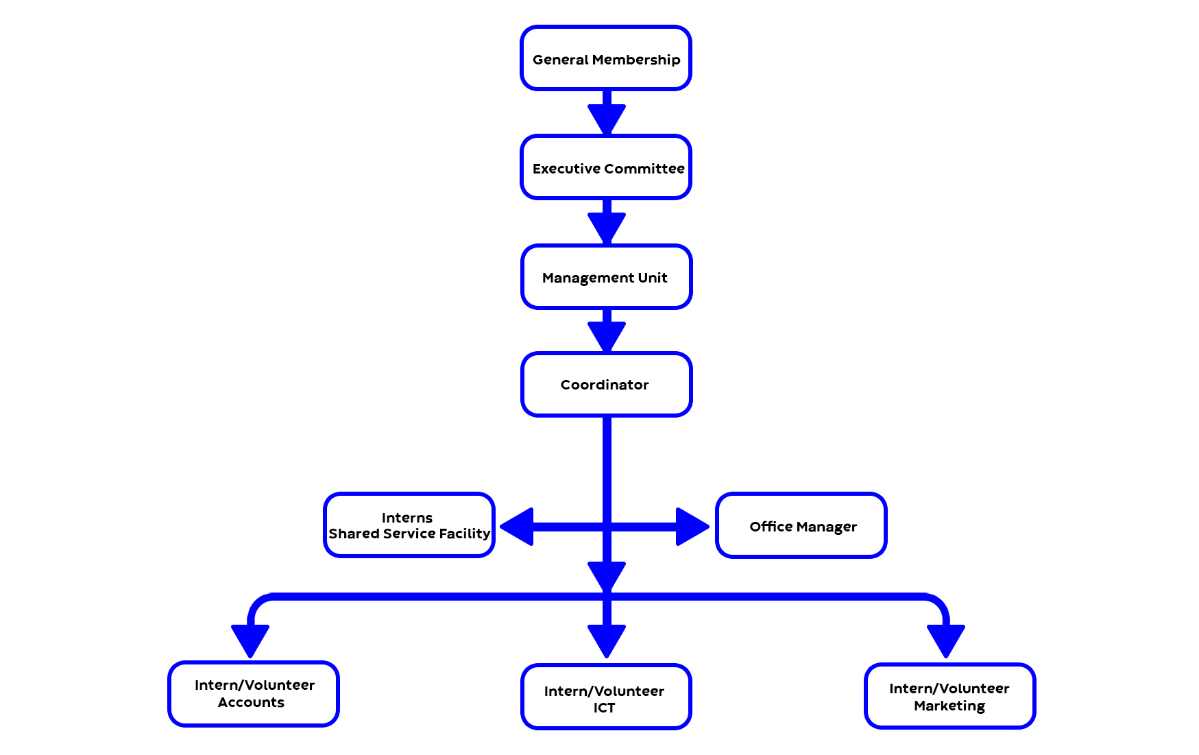 governance structure